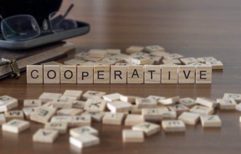 Les coopératives Services à la Personne (SAP) : des services variés pour répondre aux besoins des professionnels et des particuliers.
