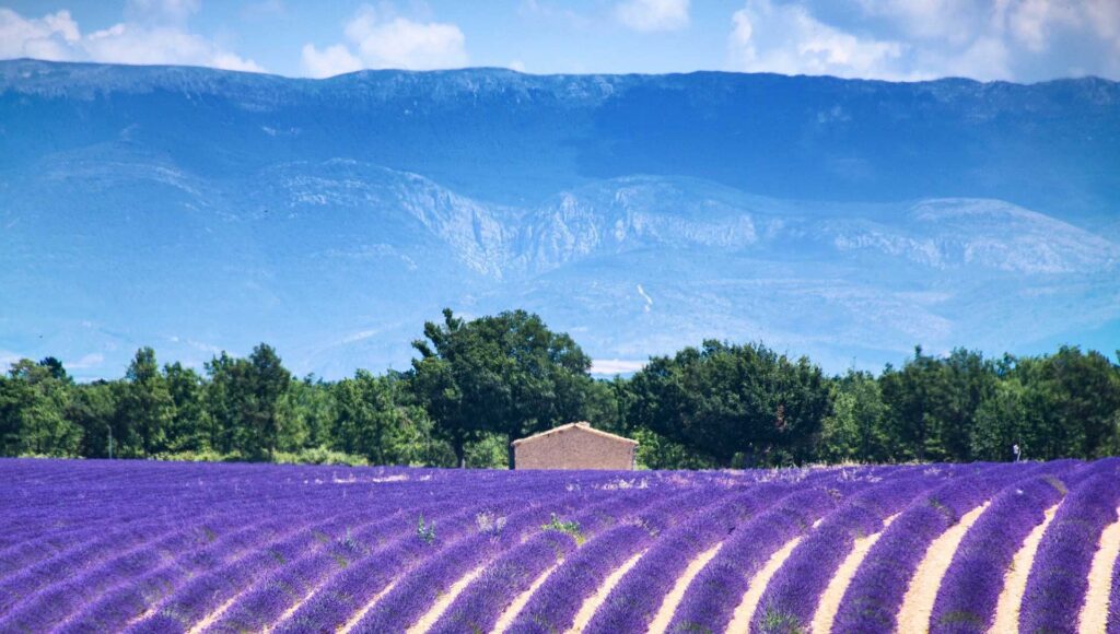 La coopérative se déplace à nouveau dans le sud de la France !