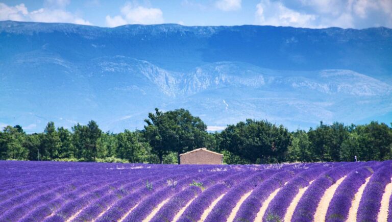 La coopérative se déplace à nouveau dans le sud de la France !